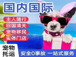 乌鲁木齐地窝堡机场托运国际宠物托运 【国